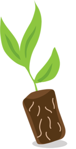 green plant icon