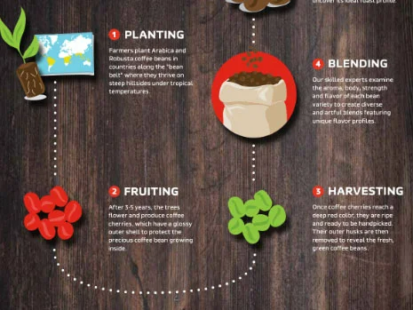 coffee journey infographic