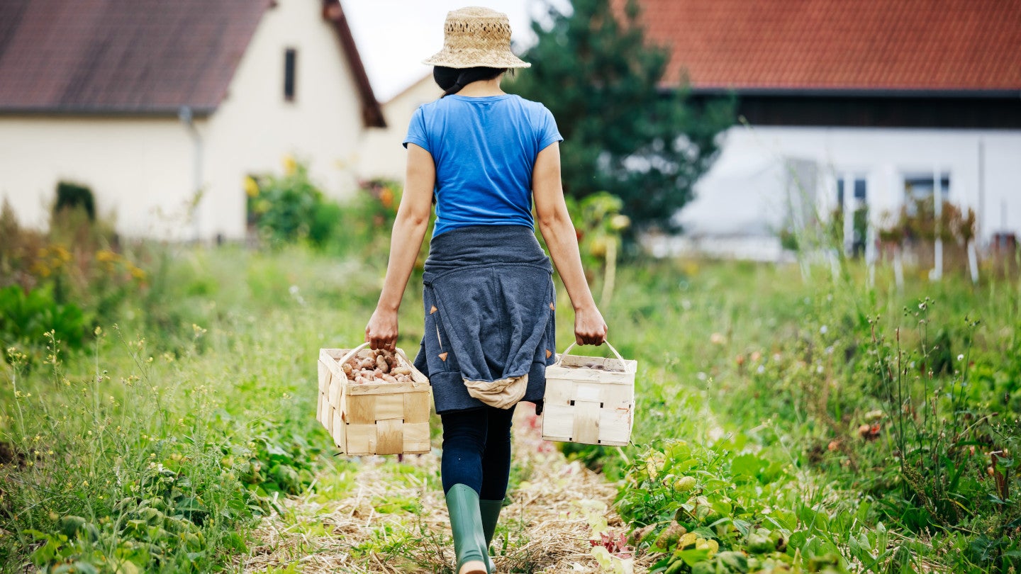 Sustainability_Banner