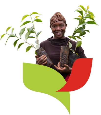 nescafe sustainability