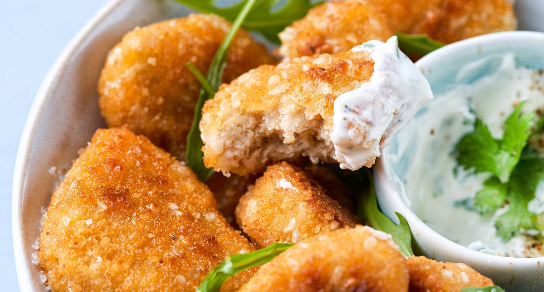 sustainability article hero image