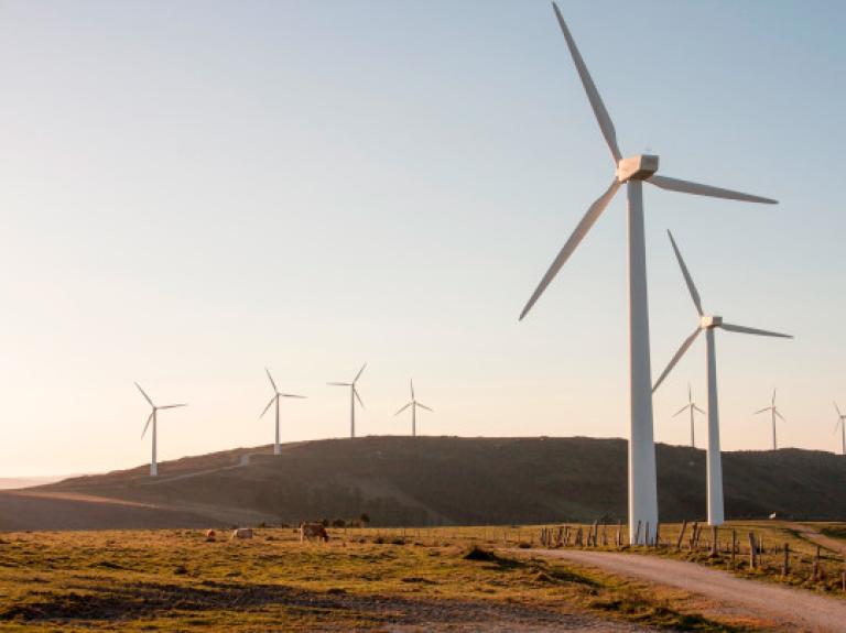 Windmills image