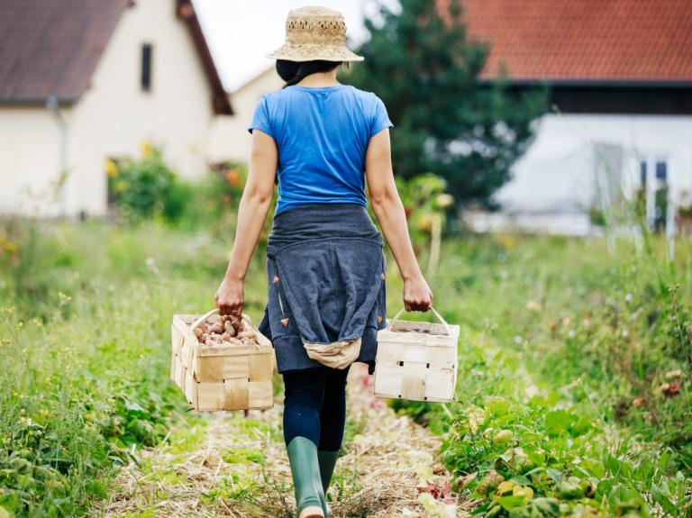 Sustainability_Banner