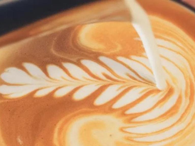 coffee barista