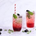 Mango Blackberry Lemon Cooler