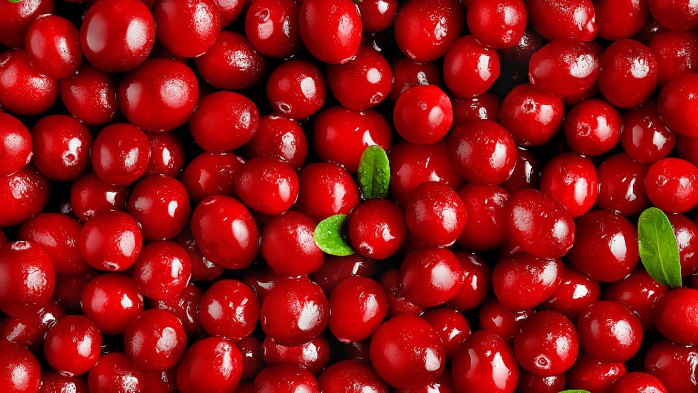 Cranberry Banner