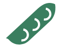 green bean